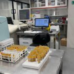 WhatsApp Image 2025-10-16 at 12.41.00 PM